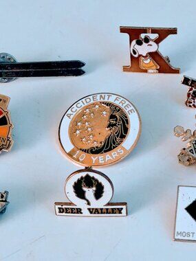 Vintage Lot of 9 Novelty Pins